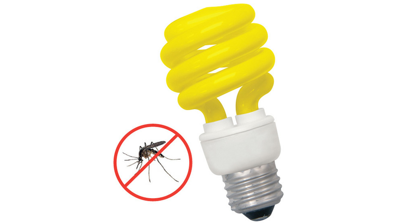 Illustration for article titled Everything You Need To Banish Blood-Sucking Bugs for Good